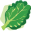 蔬菜icon