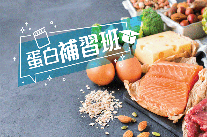 富含蛋白质的食物组合展示