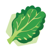 蔬菜icon