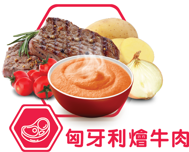 THICKENUP® INSTANT PUREE 快凝寶®即食營養糊餐匈牙利燴牛肉口味，展示牛肉、番茄、薯仔、洋蔥及一碗質感軟滑糊餐