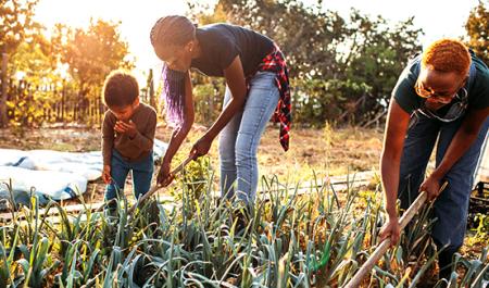 Healthy lives, healthy planet