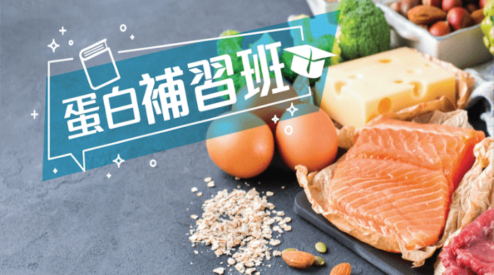 富含蛋白质的食物组合展示